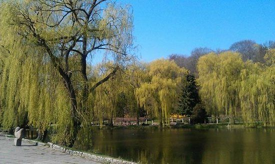 Narodowe Muzeum Morskie